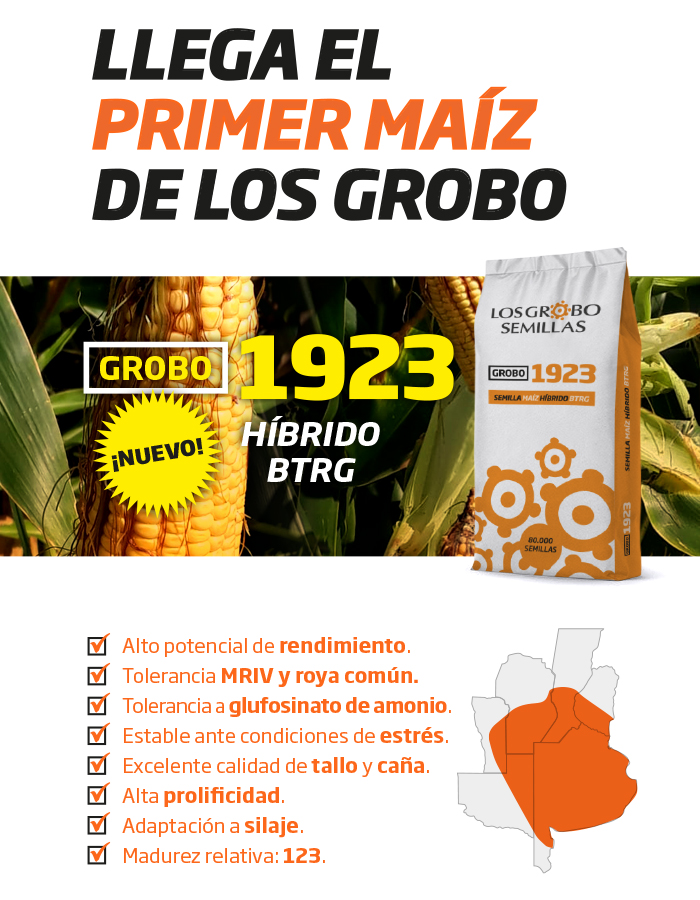 Grobo1923